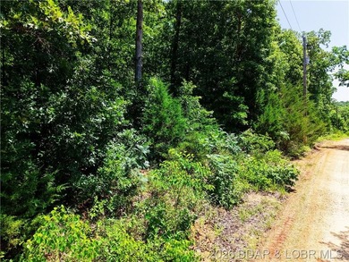 Enjoy the best of both worlds with this 0.21-acre second-tier - photo 1