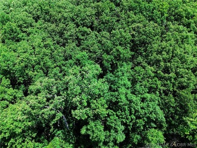 Enjoy the best of both worlds with this 0.21-acre second-tier - photo 4