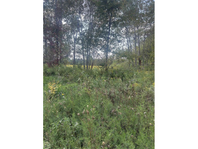Lake Acreage For Sale in Allenton, Michigan