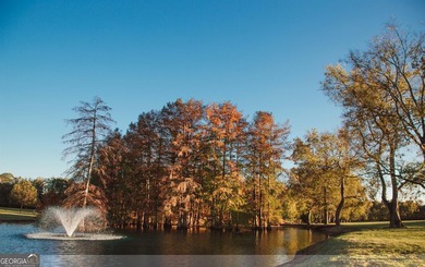 Welcome to Iron Horse, a beautifully designed property - photo 3