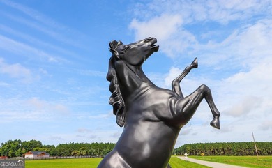 Welcome to Iron Horse, a beautifully designed property - photo 4