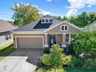 (private lake, pond, coastal) Home For Sale in Tampa Florida