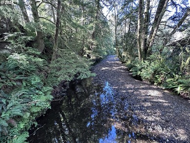 Owner is willing to seller-carry. 18 Acres of Prime Forest Land - photo 11