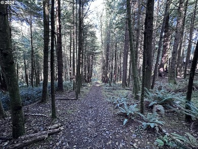 Owner is willing to seller-carry. 18 Acres of Prime Forest Land - photo 13