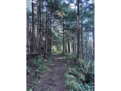 Owner is willing to seller-carry. 18 Acres of Prime Forest Land - photo 15
