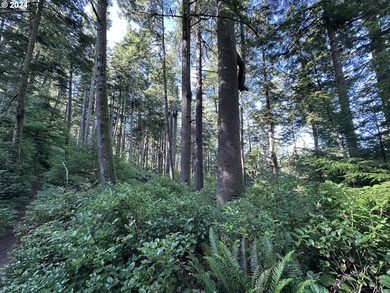 Owner is willing to seller-carry. 18 Acres of Prime Forest Land - photo 16