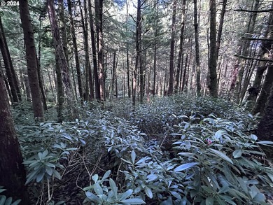 Owner is willing to seller-carry. 18 Acres of Prime Forest Land - photo 17