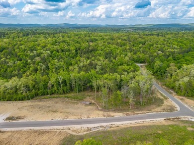 Exceptional 5.4 acre homesite in Rocky Point Estates, a new - photo 18