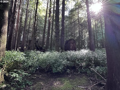 Owner is willing to seller-carry. 18 Acres of Prime Forest Land - photo 18