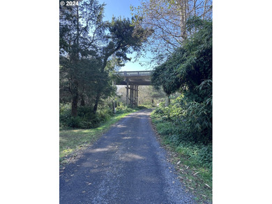Owner is willing to seller-carry. 18 Acres of Prime Forest Land - photo 26
