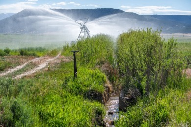 Development, water rights, production, and a substantial option - photo 3