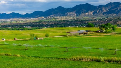 Development, water rights, production, and a substantial option - photo 6