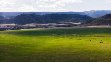 Development, water rights, production, and a substantial option - photo 9