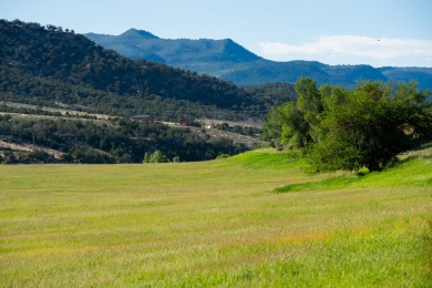 Development, water rights, production, and a substantial option - photo 10