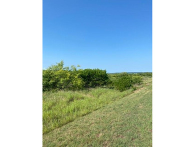 Lake Acreage For Sale in Possum Kingdom Lake, Texas
