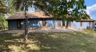 Lake Home For Sale in Beaverton, Michigan