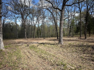 Lake Lot For Sale in Log Cabin, Texas