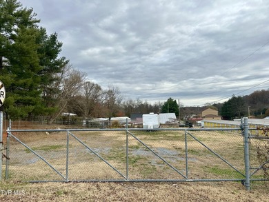 Holston River - Hawkins County Lot For Sale in Mount Carmel Tennessee