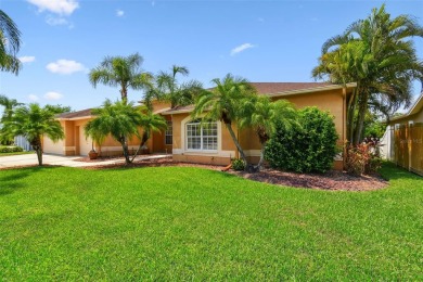 Lake Home Sale Pending in Riverview, Florida