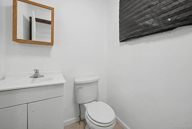 Newly Renovated Oversized 2 Family Brick House in Springfield - photo 15