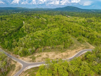 Exceptional 2.9 acre homesite in Rocky Point Estates, a new - photo 16
