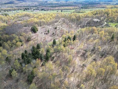 Just seven minutes from both downtown Boyne City and Boyne - photo 20