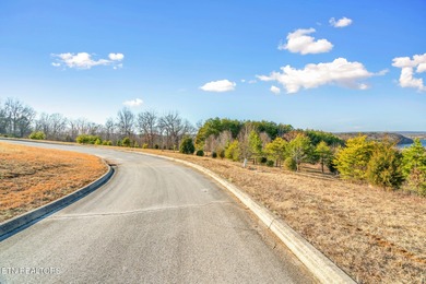 Build your dream home in the beautiful serene East Tennessee at - photo 6