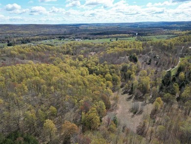 Just seven minutes from both downtown Boyne City and Boyne - photo 45