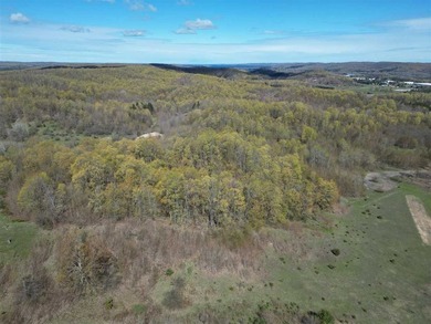 Just seven minutes from both downtown Boyne City and Boyne - photo 48