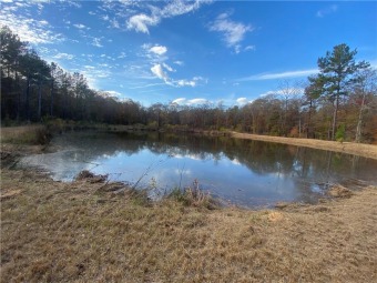 (private lake, pond, creek) Acreage For Sale in Salem Alabama