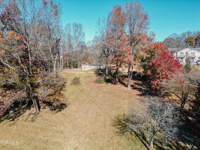 Lake Acreage For Sale in Afton, Tennessee