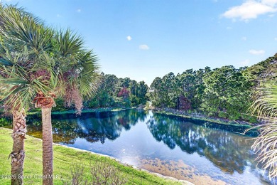 SIGNIFICANT PRICE IMPROVEMENT! Private WATERFRONT & Natural - photo 36