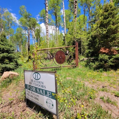 (private lake, pond, creek) Acreage For Sale in Telluride Colorado