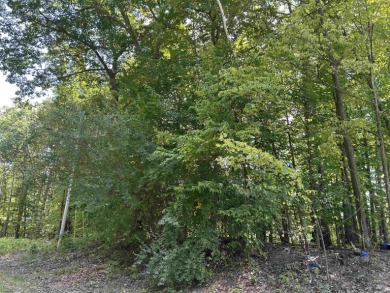 Kerswill Lake Lot For Sale in Gladwin Michigan