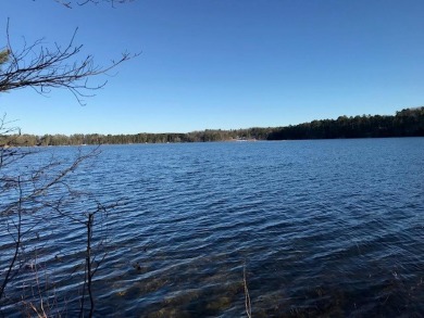 Big Portage Lake Lot For Sale in Land O Lakes Wisconsin