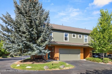 Willits Lake Townhome/Townhouse For Sale in Basalt Colorado