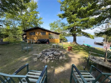 Lake Home For Sale in Greenwood Twp, Minnesota