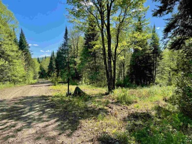First Connecticut Lake Acreage Sale Pending in Pittsburg New Hampshire