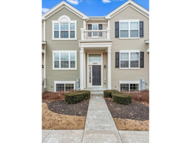 Lake Townhome/Townhouse For Sale in Pingree Grove, Illinois