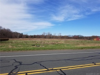 Industrial zoning 2.5 miles from I-91 with easy access to Hartfor - Lake Acreage For Sale in Enfield, Connecticut