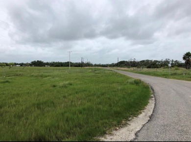 This stunning waterfront acreage (52) in Lamar is a - photo 13