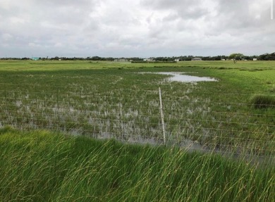 This stunning waterfront acreage (52) in Lamar is a - photo 14