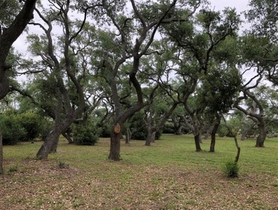 This stunning waterfront acreage (52) in Lamar is a - photo 15