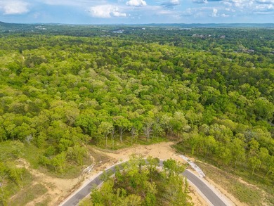 Exceptional 5.6 acre homesite in Rocky Point Estates, a new - photo 16