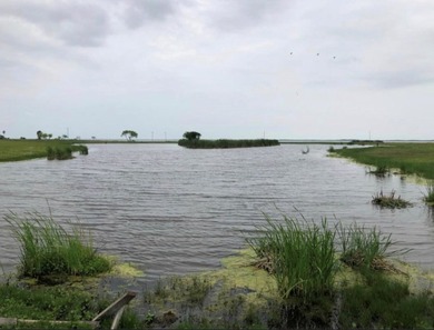 This stunning waterfront acreage (52) in Lamar is a - photo 20