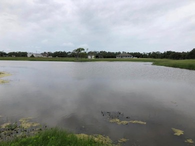 This stunning waterfront acreage (52) in Lamar is a - photo 21
