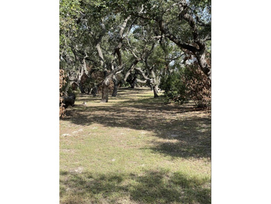 This stunning waterfront acreage (52) in Lamar is a - photo 28