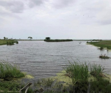 This stunning waterfront acreage (52) in Lamar is a - photo 29
