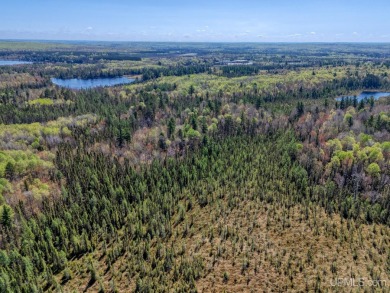 Lake Acreage For Sale in Watersmeet, Michigan
