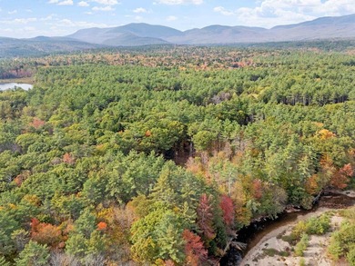 Discover the perfect blend of tranquility, accessibility, and - photo 4